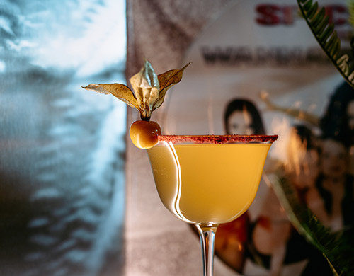 Terminal Records And Bar